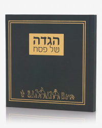 תמונה 1