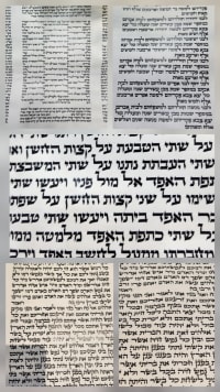תמונה 2