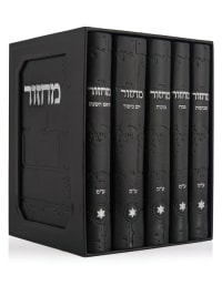 תמונה 3
