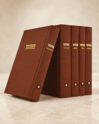 תמונה 3