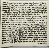 תמונה 1