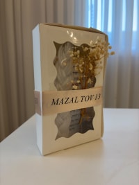 תמונה 1