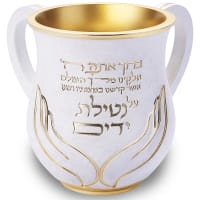 תמונה 2