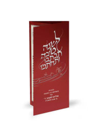 תמונה 1