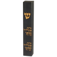 תמונה 1