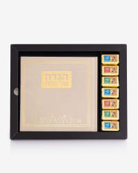 תמונה 2