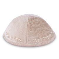 תמונה 2