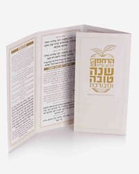 תמונה 1
