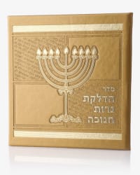 תמונה 1
