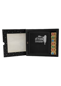 תמונה 1