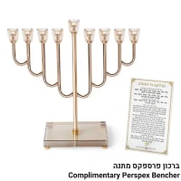 תמונה 1