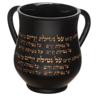 תמונה 2