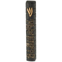 תמונה 2
