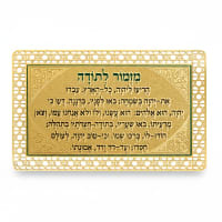 תמונה 4