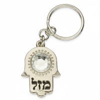 תמונה 4