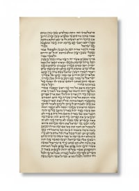 תמונה 4