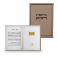 תמונה 4