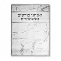 תמונה 4