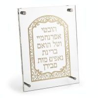 תמונה 4
