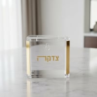 תמונה 3