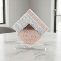 תמונה 3