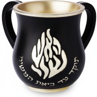 תמונה 4