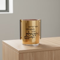 תמונה 3