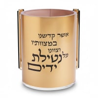 תמונה 4