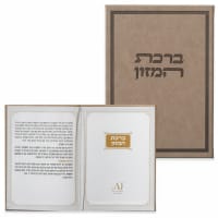 תמונה 4