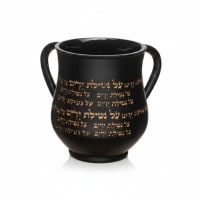 תמונה 4
