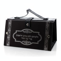 תמונה 4