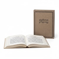 תמונה 4
