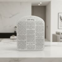 תמונה 3