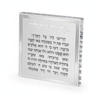 תמונה 4