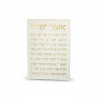 תמונה 4