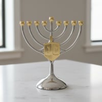 תמונה 3