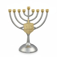 תמונה 4