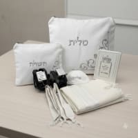 תמונה 3