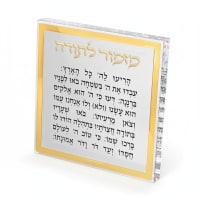 תמונה 4
