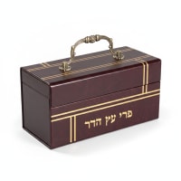 תמונה 4