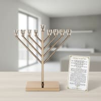 תמונה 3