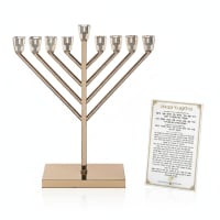 תמונה 4