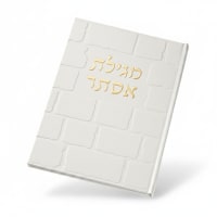 תמונה 4