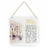 תמונה 4
