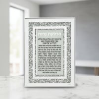 תמונה 3