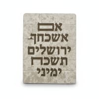 תמונה 4