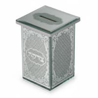תמונה 4