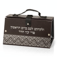 תמונה 4