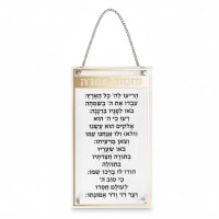 תמונה 4