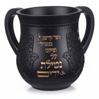 תמונה 4